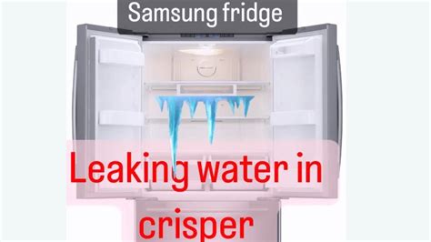 samsung fridge leaking water inside|Samsung Refrigerator Leaking Water: 6 Easy Ways。